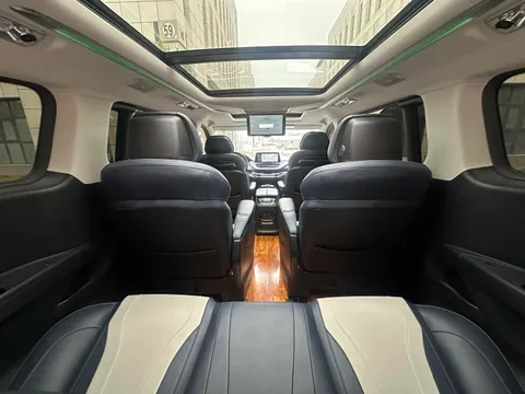 Maxus G20