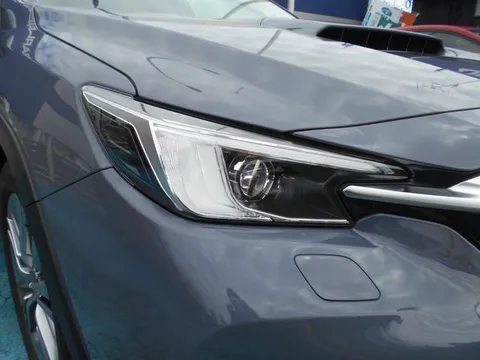 Subaru Levorg Layback