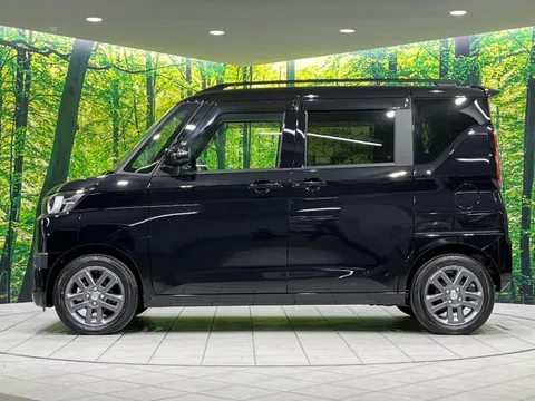 Mitsubishi Delica Mini