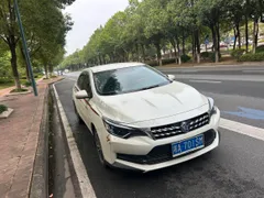Venucia D60