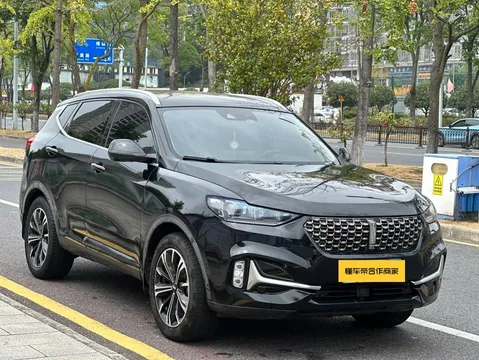 Wey VV6