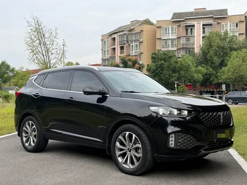 Wey VV6