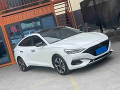 Hyundai Festa