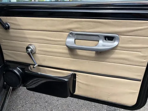 Rover Mini