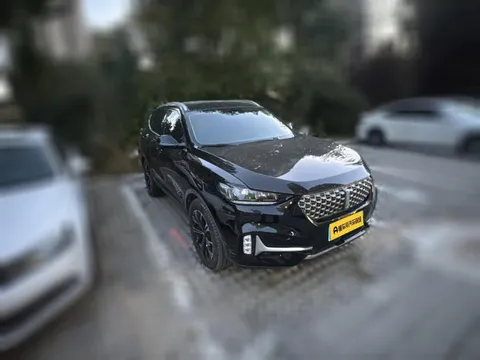 Wey VV6