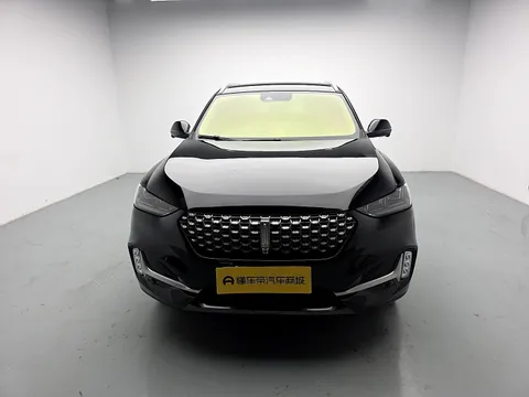 Wey VV6