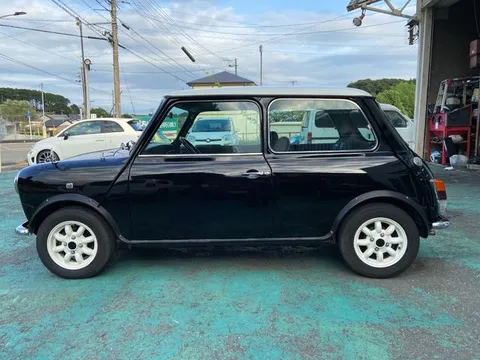 Rover Mini