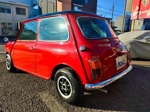 Rover Mini