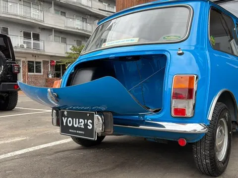 Rover Mini