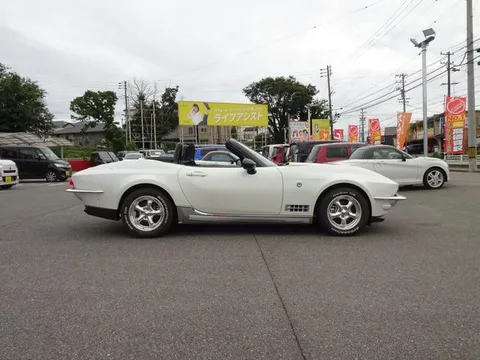 Mitsuoka Rock Star