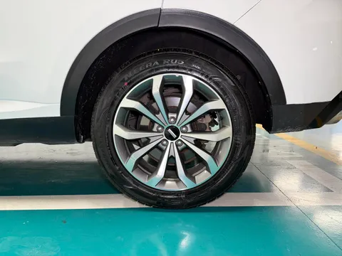 Wey VV6