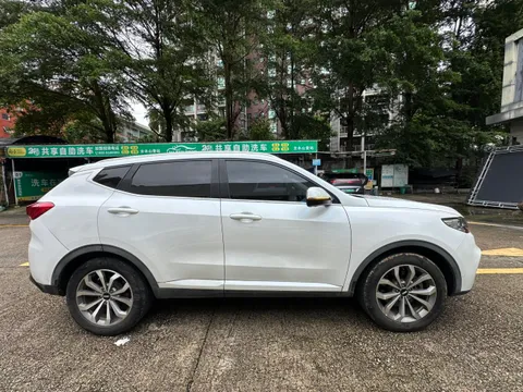 Wey VV6