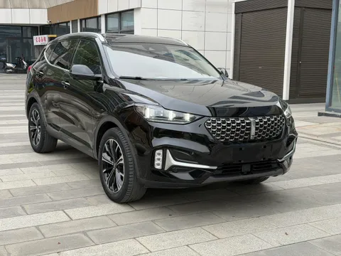 Wey VV6