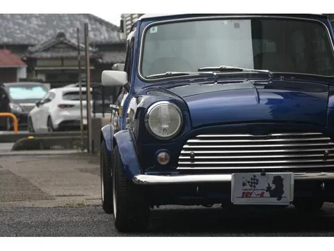 Rover Mini
