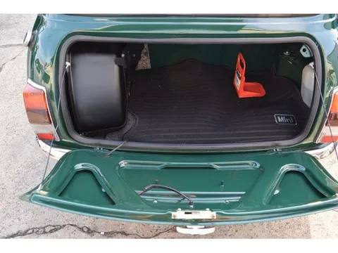 Rover Mini