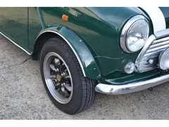 Rover Mini
