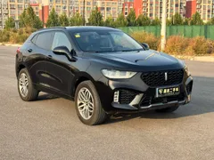 Wey VV5