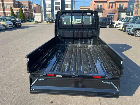 Suzuki Carry Track