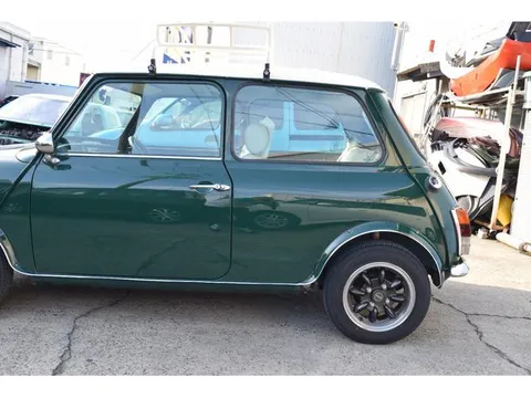 Rover Mini