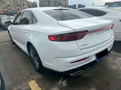 Geely Preface (Xingrui)
