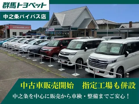 Toyota Corolla Touring