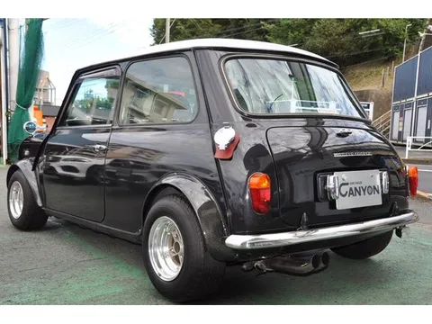 Rover Mini