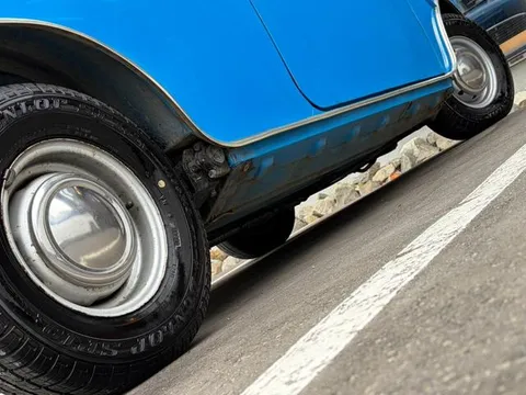 Rover Mini