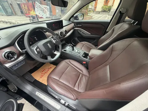 Wey VV6