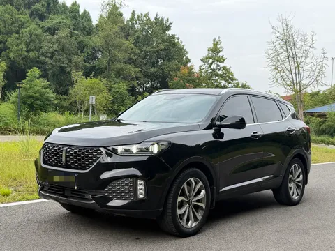 Wey VV6