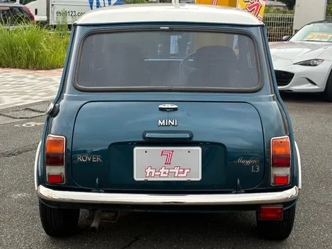 Rover Mini