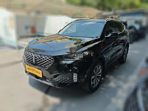 Wey VV6