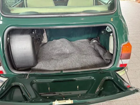 Rover Mini