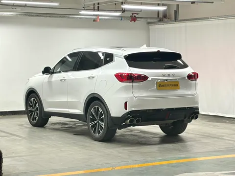 Wey VV6