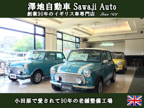 Rover Mini
