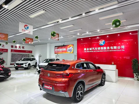 BMW X2