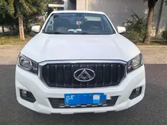 Maxus T60