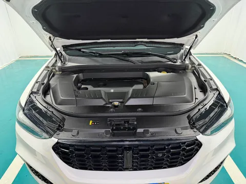 Wey VV6