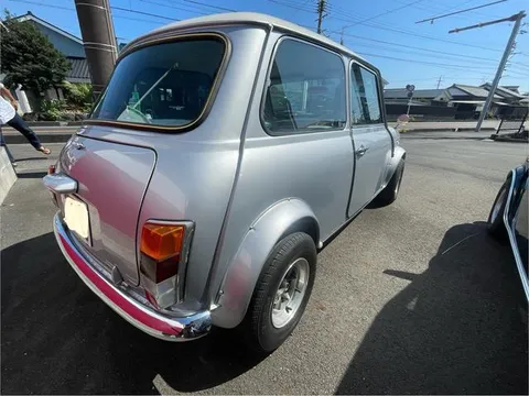 Rover Mini
