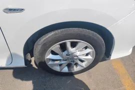 Honda Gienia