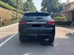 Wey VV6