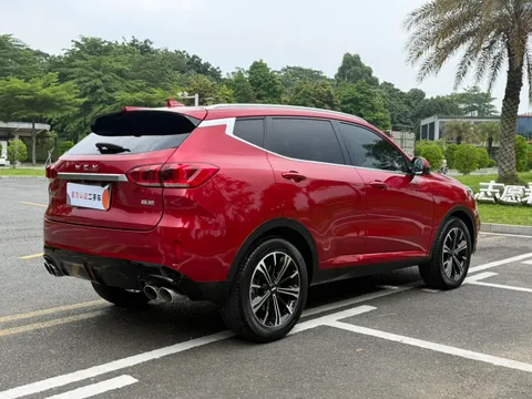 Wey VV6