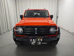 Tank 300