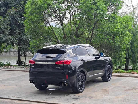 Wey VV6