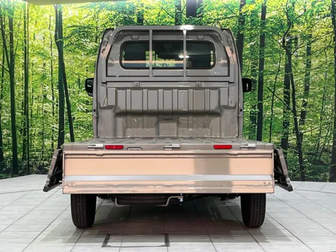 Nissan Clipper Truck