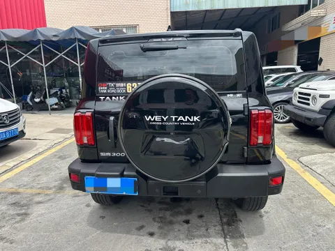 Tank 300