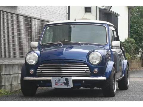 Rover Mini