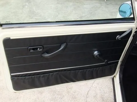 Rover Mini