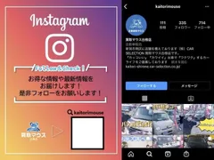 Mitsuoka Viewt