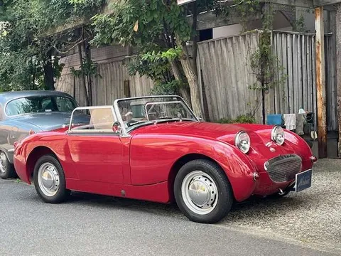 Austin Healey