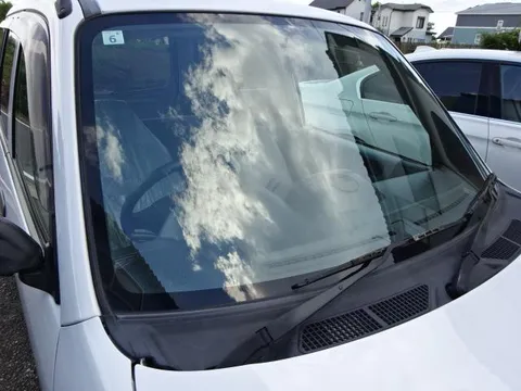 Subaru Pleo